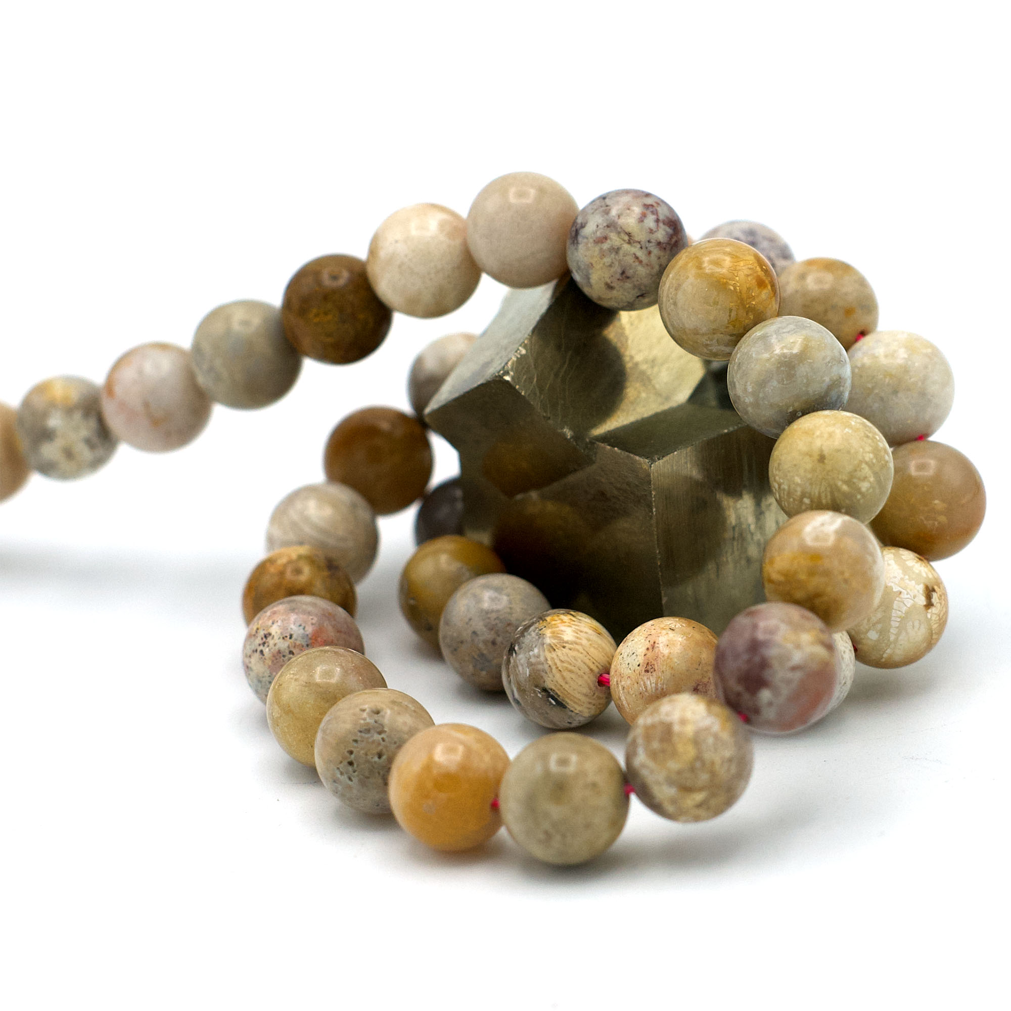 fil de 39 cm perles de Corail fossilisé ronde 10 mm, pierre naturelle