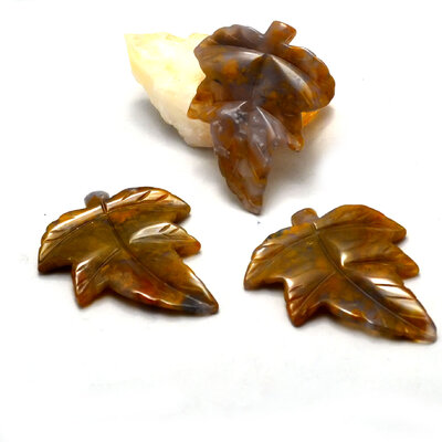 agate feuille (4)