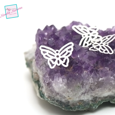 a.014 papillon 1