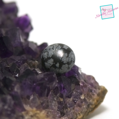 obsidien neige