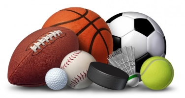 in sports1