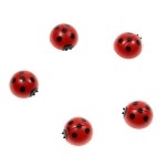 magnets-coccinelles-1-1275417136