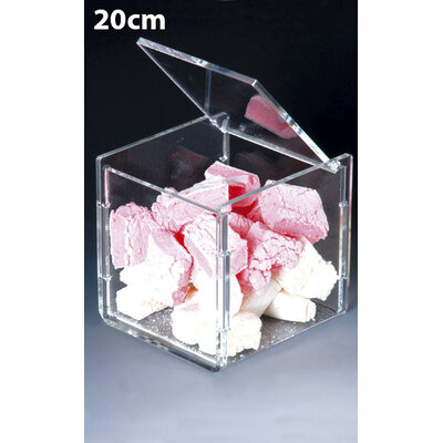 BOÎTE PLEXIGLAS COUVERCLE PIVOTANT 20CM