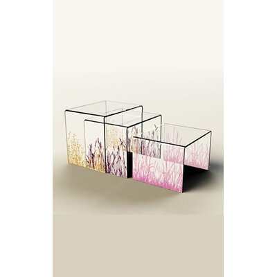 TABLE BASSE PLEXIGLASS GIGOGNE NATURE