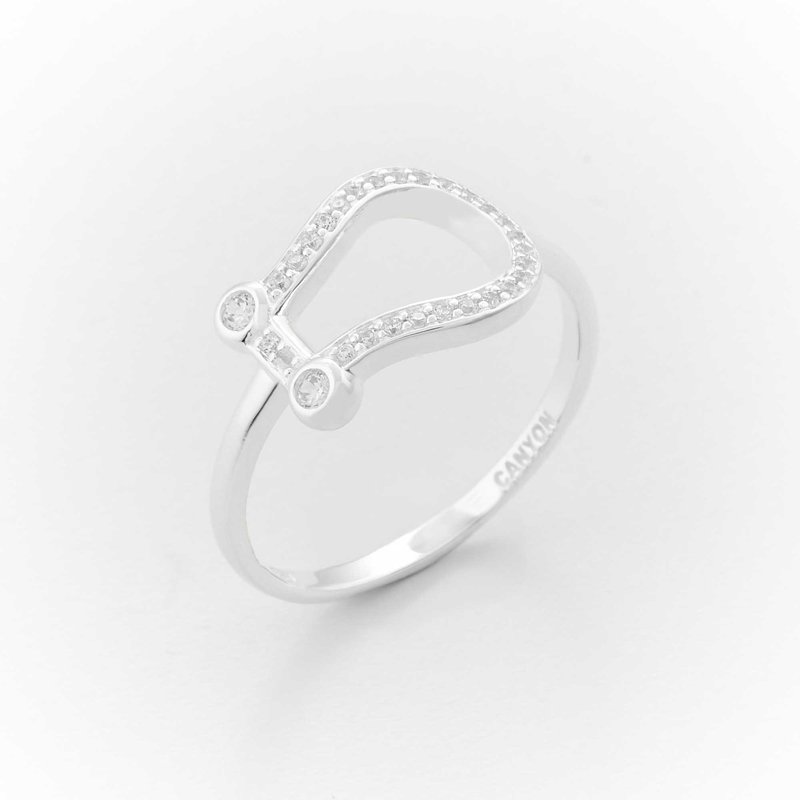 R6897-1