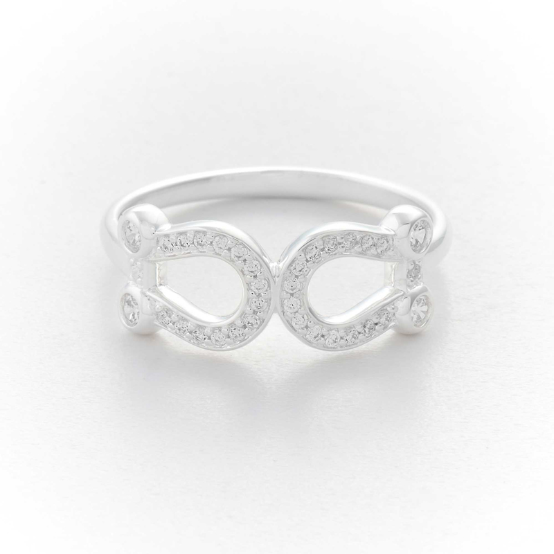 R6900-1