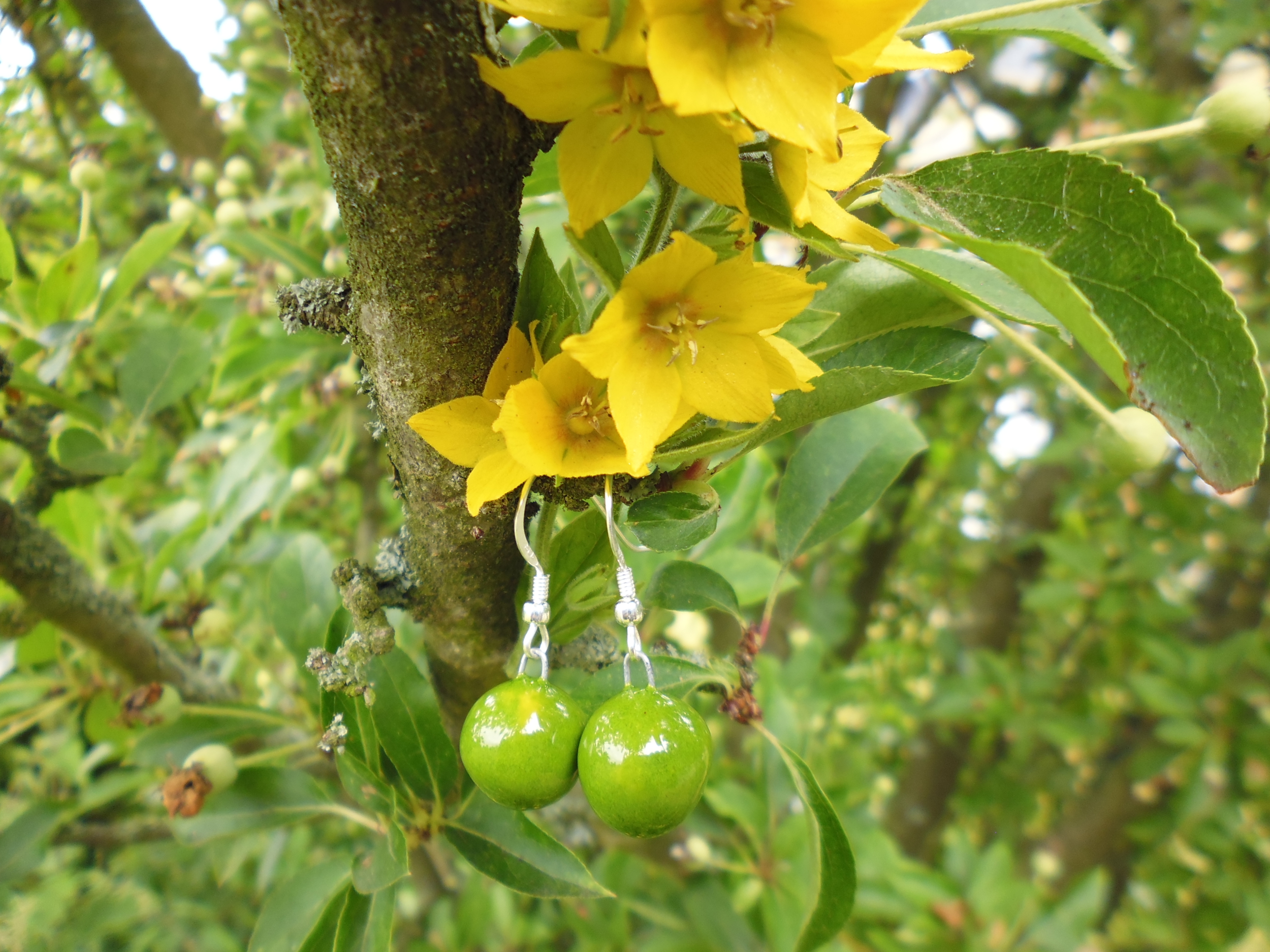 boucles oreilles céramique myrtille anis gevole 16€ (1)