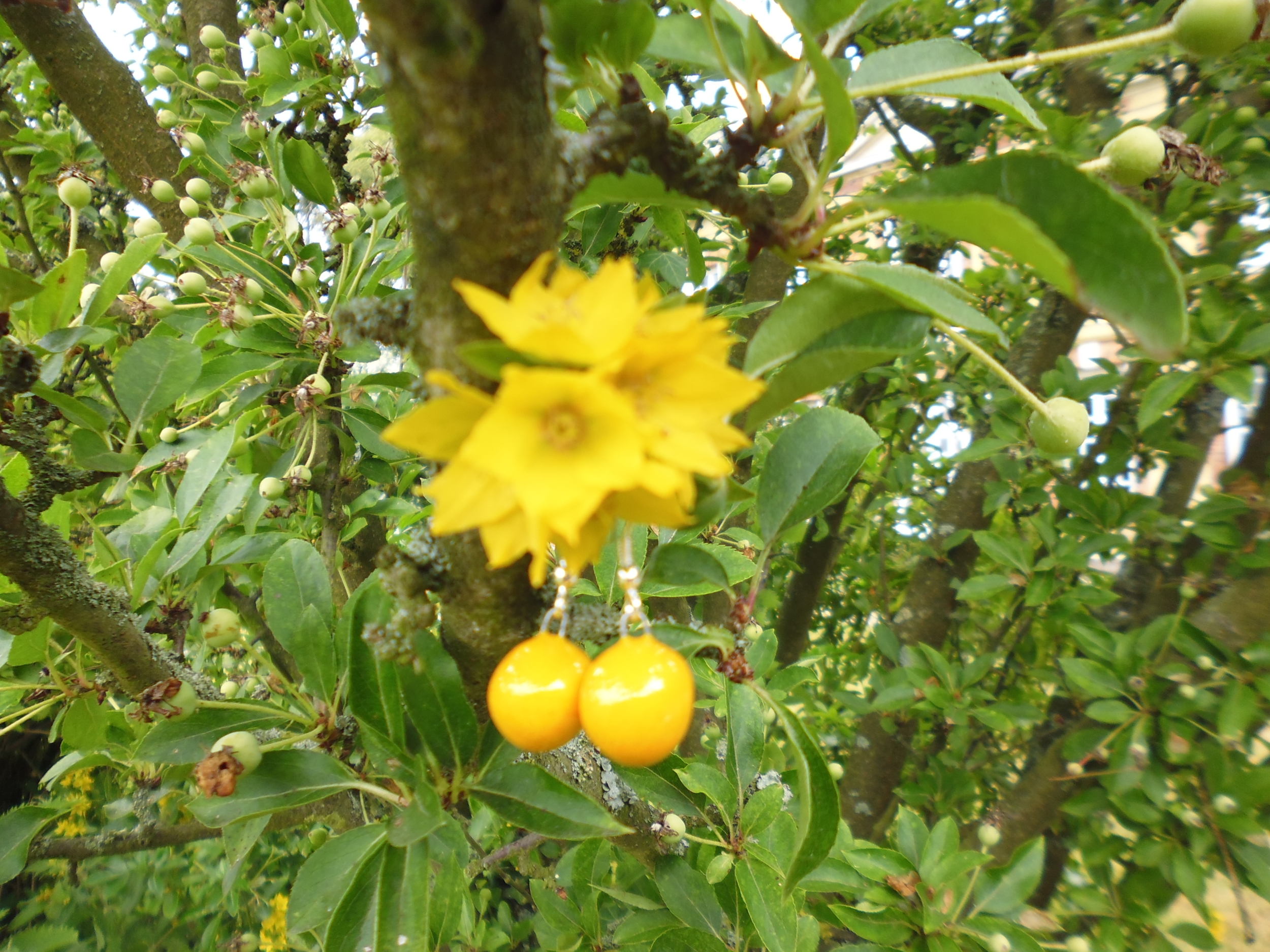 boucles oreilles céramique myrtille jaune gevole 16€ (1)