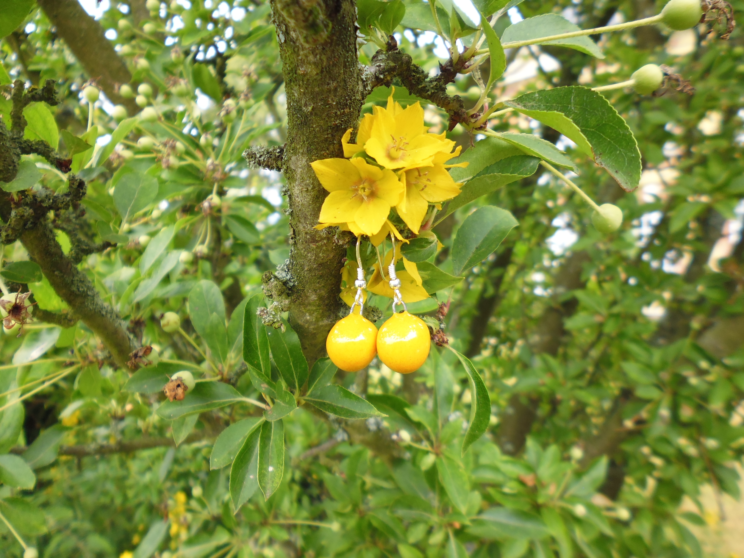 boucles oreilles céramique myrtille jaune gevole 16€ (2)