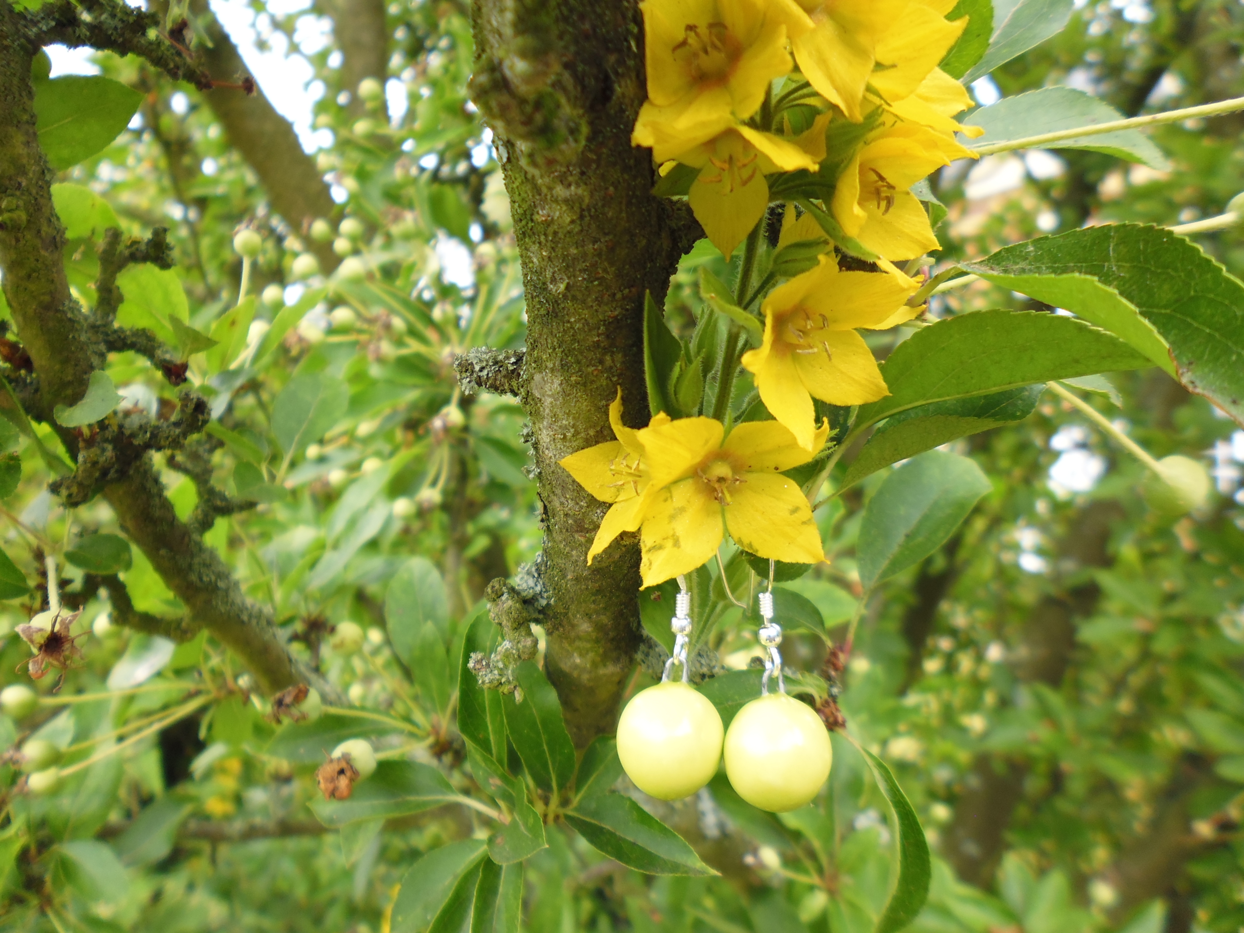 boucles oreilles céramique myrtille jaune pale gevole 16€ (1)