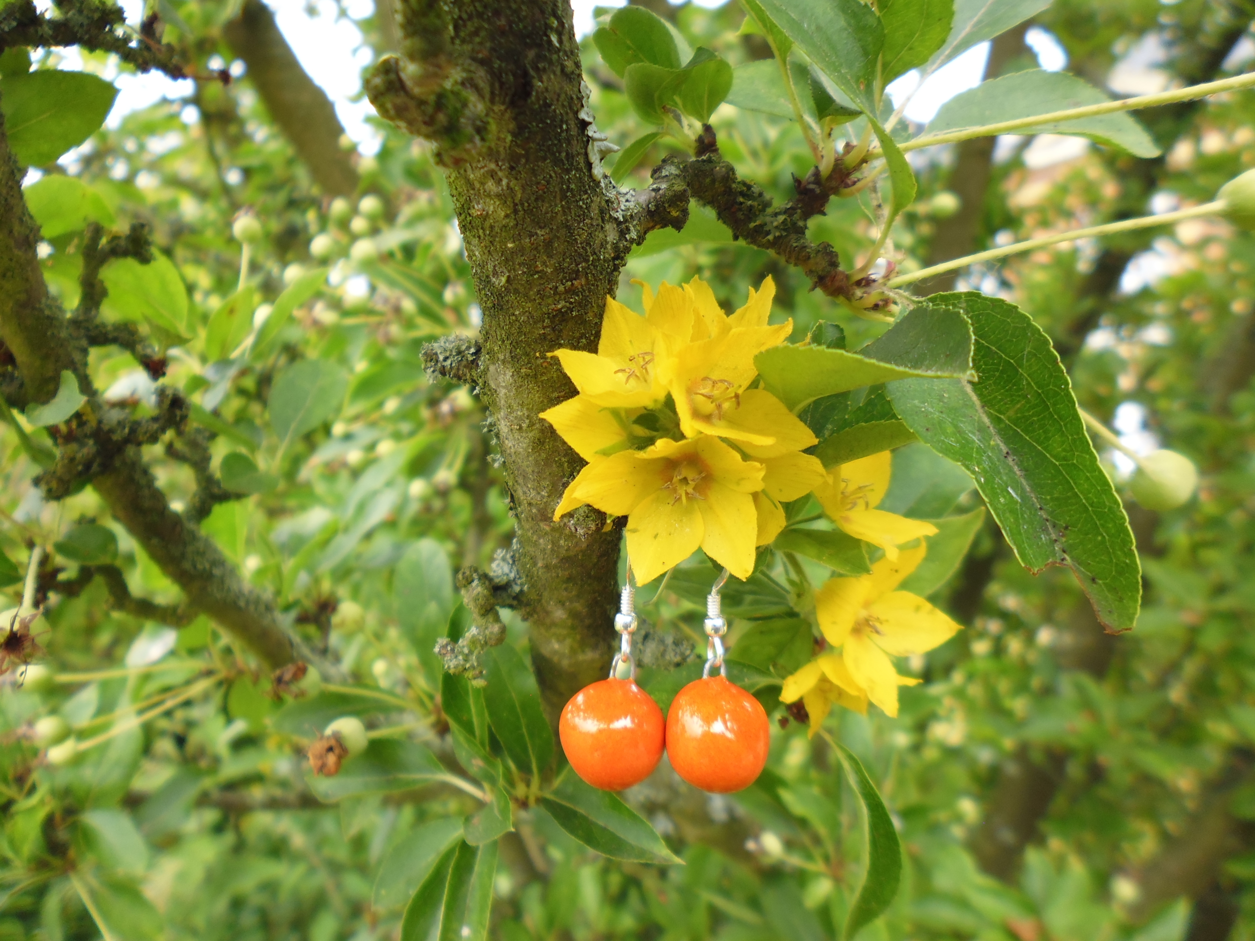 boucles oreilles céramique myrtille orange gevole 16€ (1)