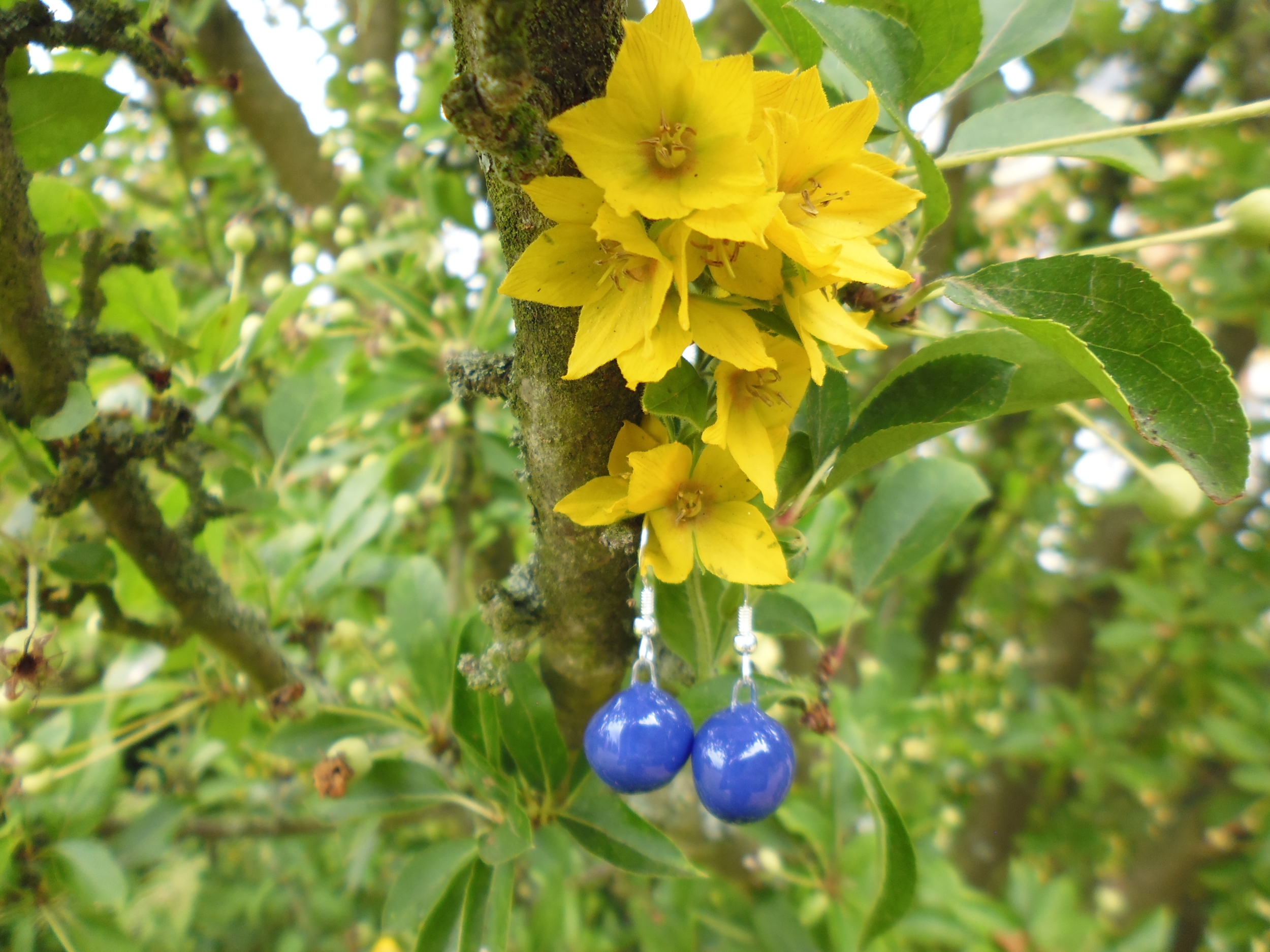 boucles oreilles céramique myrtille roy gevole 16€ (1)