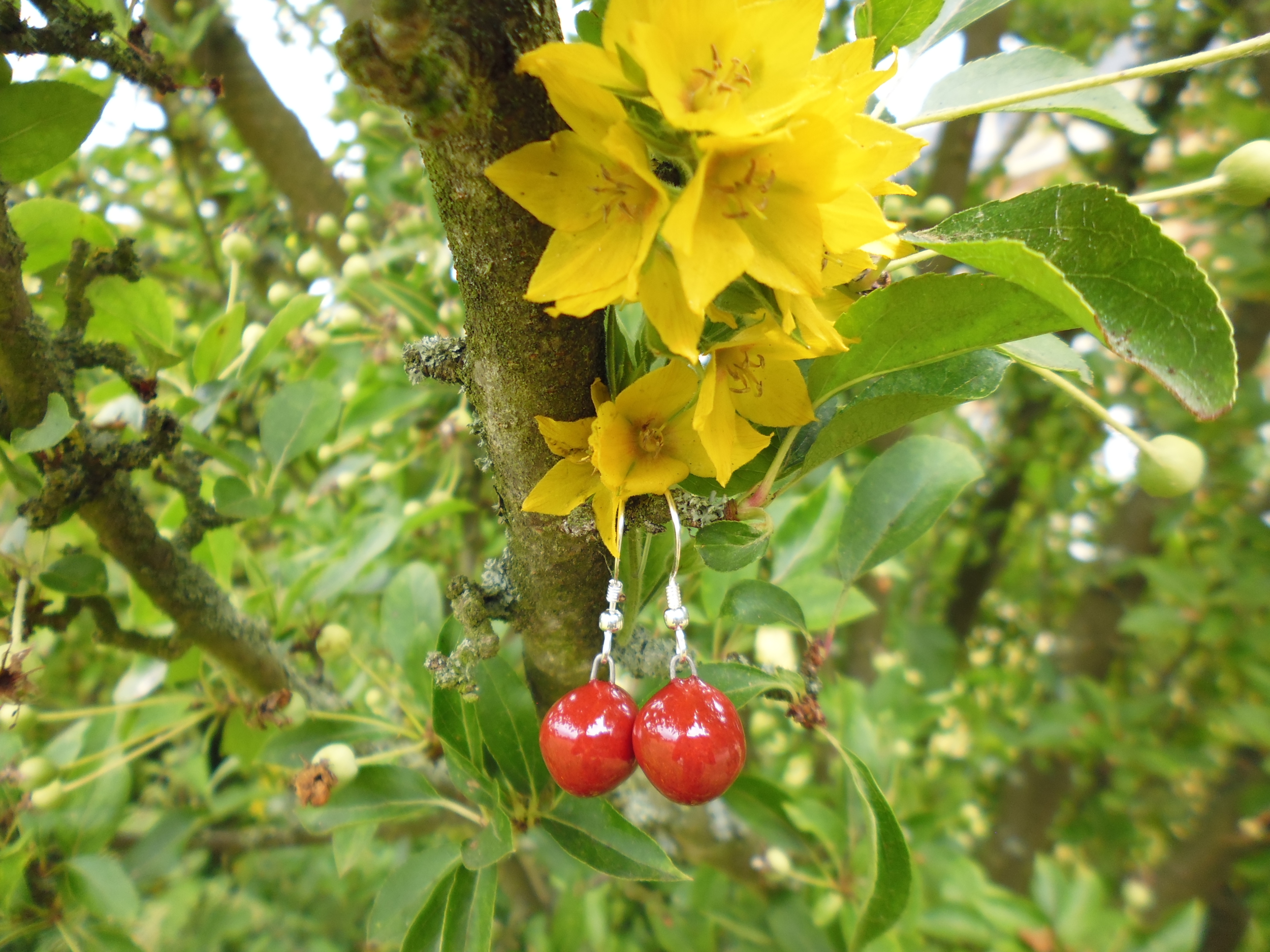 boucles oreilles céramique myrtille rouge gevole 16€ (1)