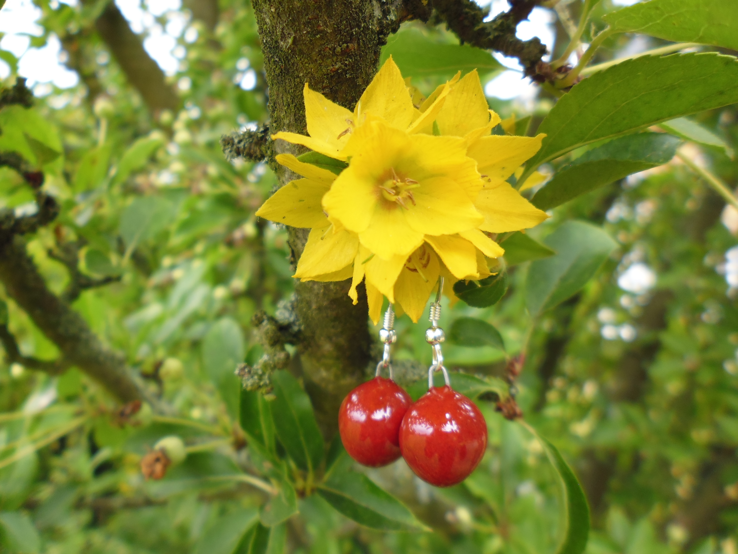 boucles oreilles céramique myrtille rouge gevole 16€ (2)