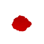 rose-rouge