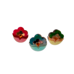 pensees-broches
