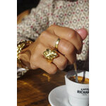 Bague Lierre Argentée Lotta Djossou - vue 6
