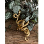 Bague Serpent Doré Lotta Djossou - vue 5