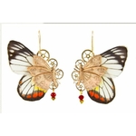 Boucles doreille Chrysalide - Hyparete 2