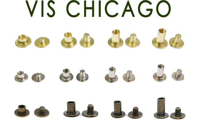 Vis Chicago1