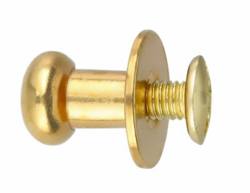 Bouton de cartouchiere - Bouton de col