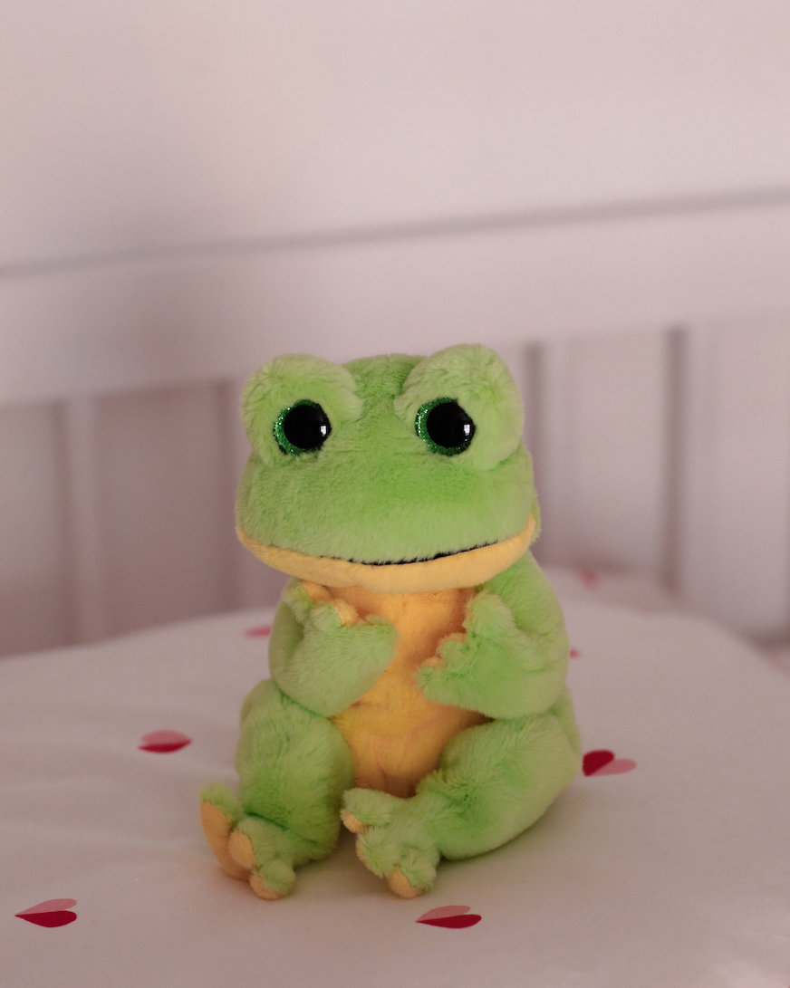 small shooting-peluches-ty-7-eme-etoile--9 - copie