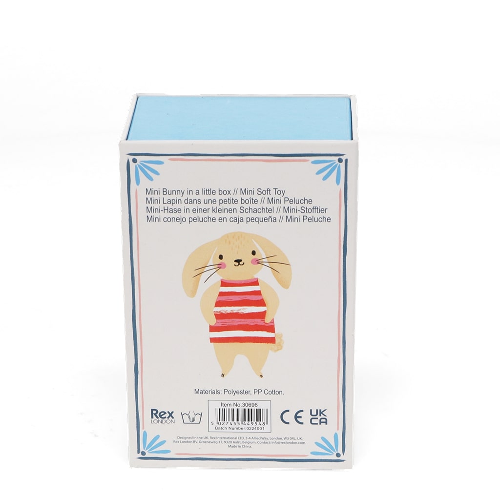 30696_4-bunny-in-a-little-box