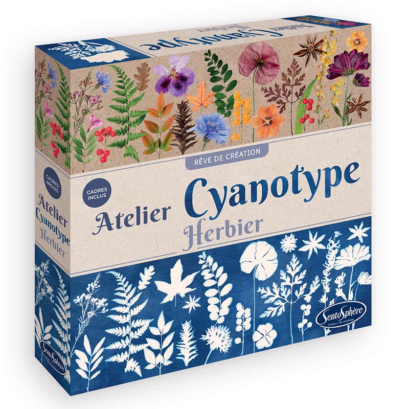 atelier-cyanotype-herbier