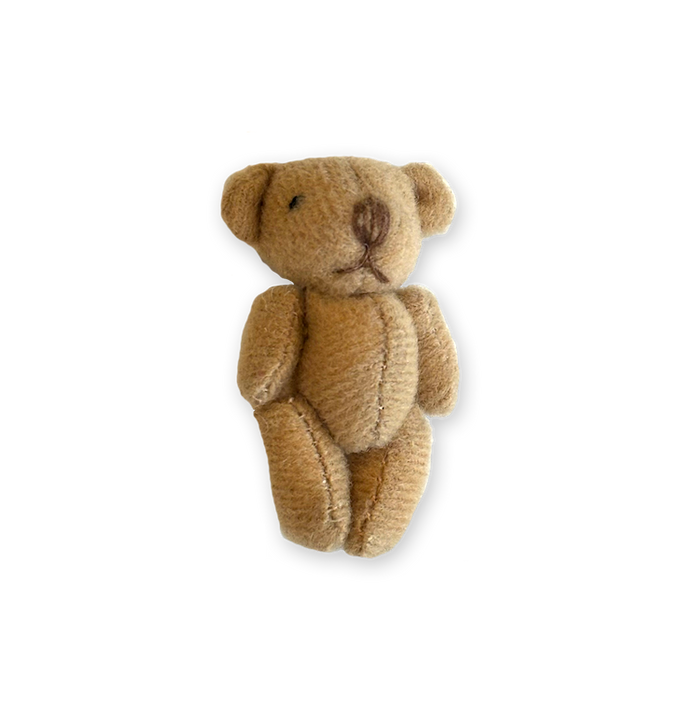 teddybear_02cf607c-89a2-4e0d-8215-43c1a7c4714a