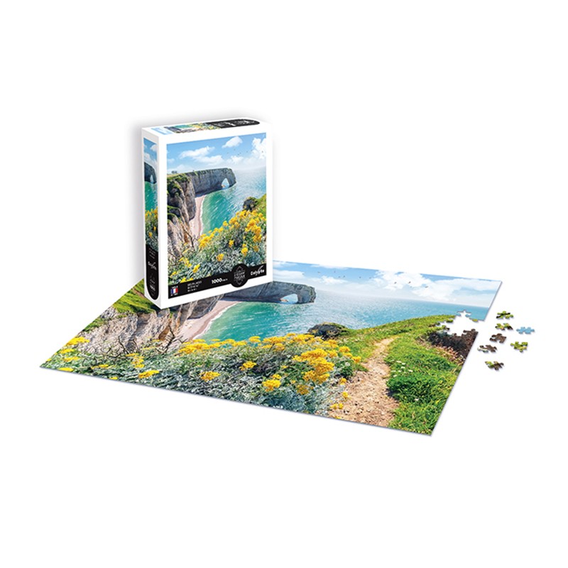 puzzle-1000-pieces-les-falaises-d-etretat-normandie-2