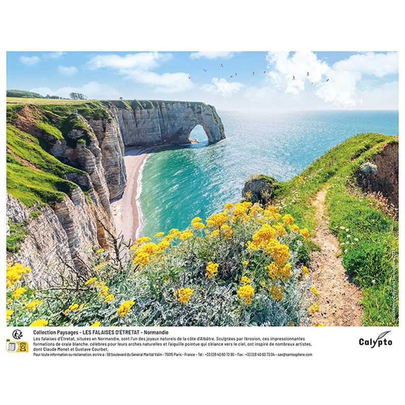 puzzle-1000-pieces-les-falaises-d-etretat-normandie-3