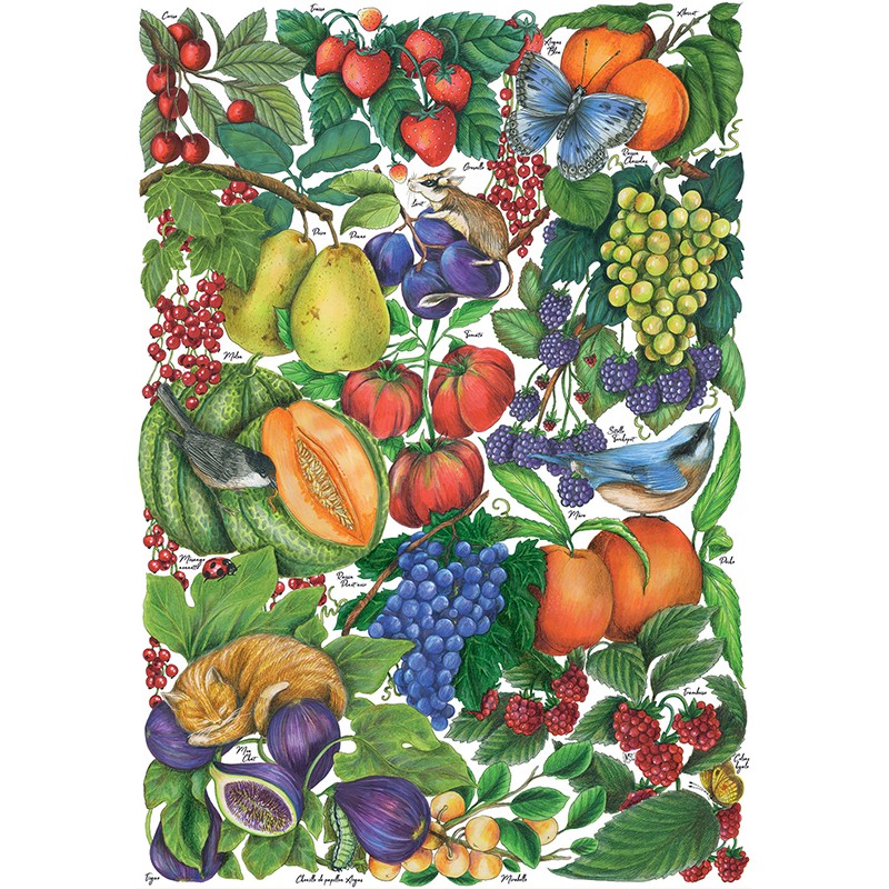 puzzle-500-pieces-les-fruits-d-ete-3