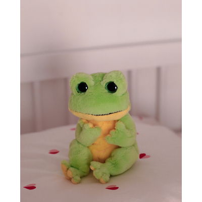 small shooting-peluches-ty-7-eme-etoile--9 - copie