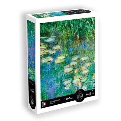 puzzle-1000-p-carres-et-cercles-concentriques-vassily-kandinski