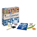 atelier-cyanotype-herbier-2