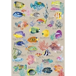 puzzle-500-pieces-poissons-exotiques-3