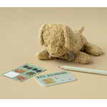 COLOURBOX70291167