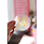 rainbowcatcher