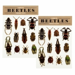 29461_2-beetle-temporary-tattoos