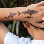 29475-shark-temporary-tattoos-2-sheets_Lifestyle