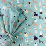 29260-best-show-tissue-paper-10-sheets_Lifestyle