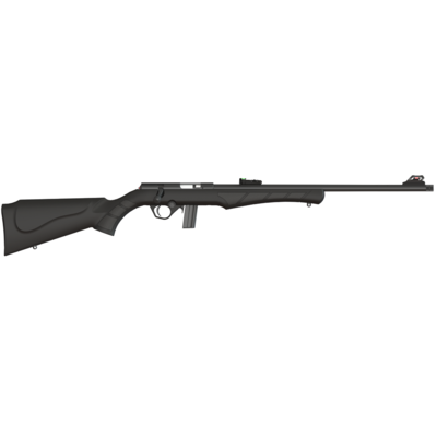 Carabine ROSSI Synthétique