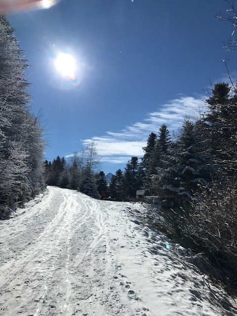 img 1795 1954