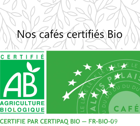 CAFE EN GRAINS BIO
