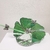 Vitrail Gingko et papillon FOKC256_80€