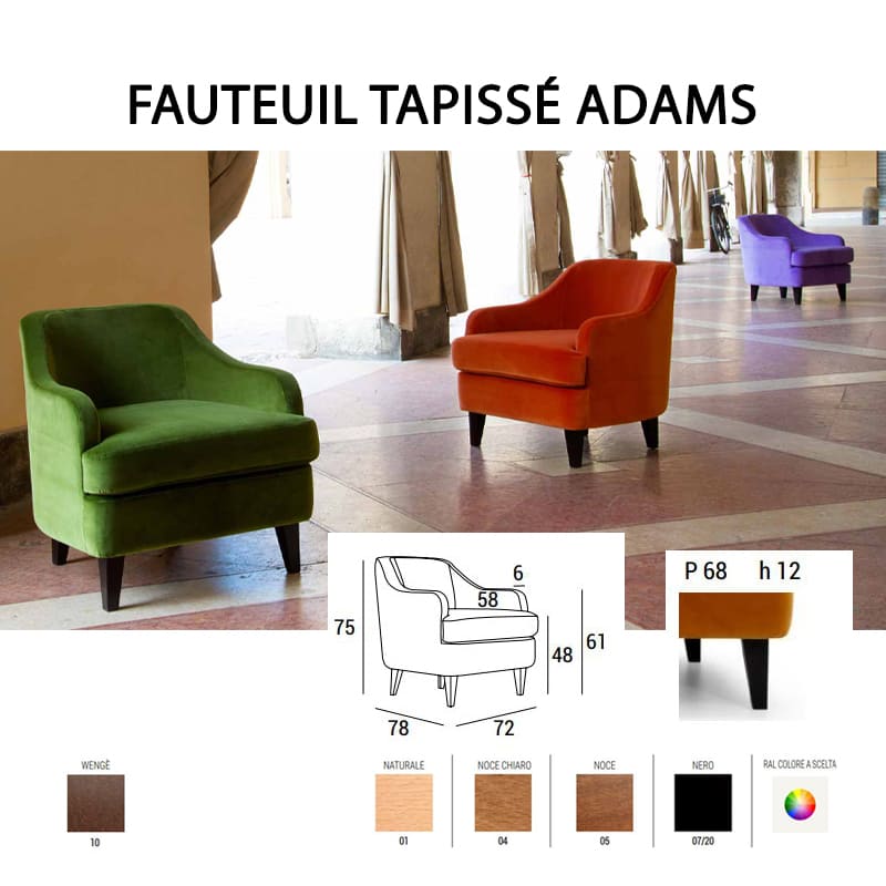 couleurs fautauil tapisse Adams
