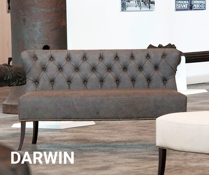 darwin0