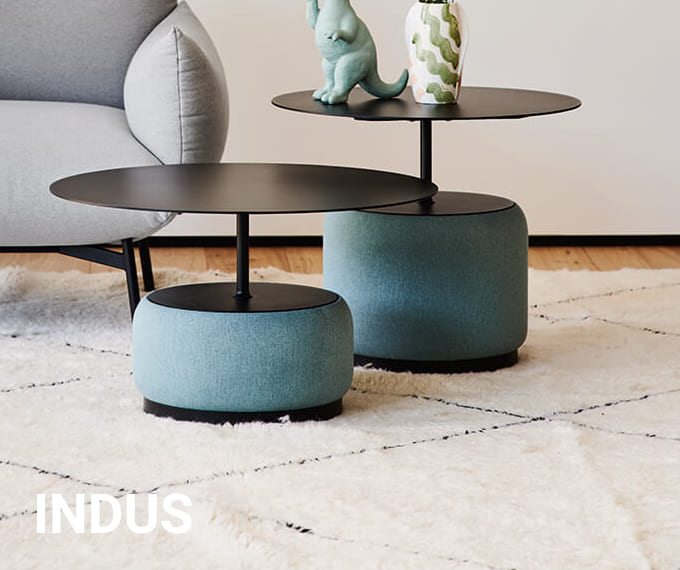 indus0