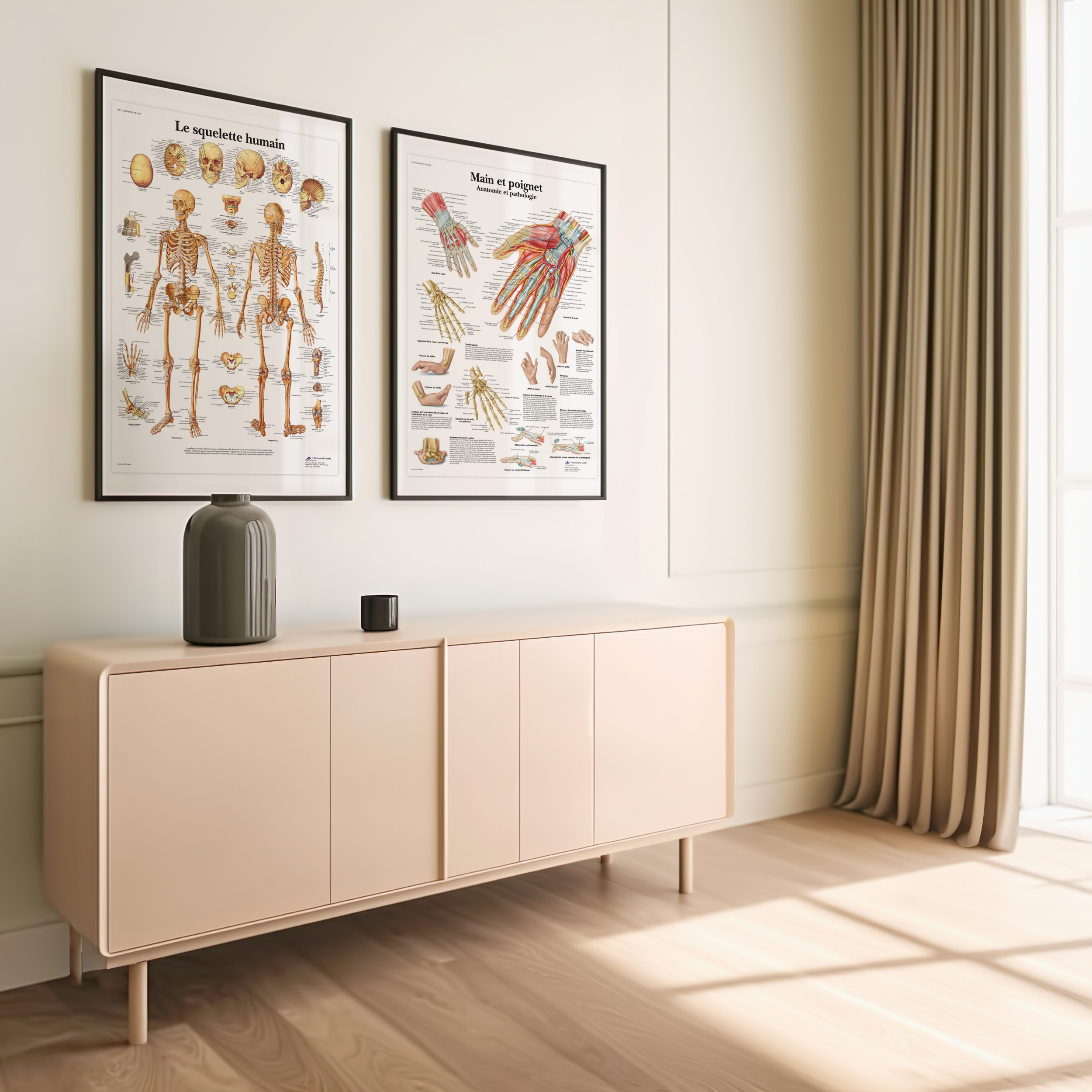 planches anatomiques poster cabinet medical