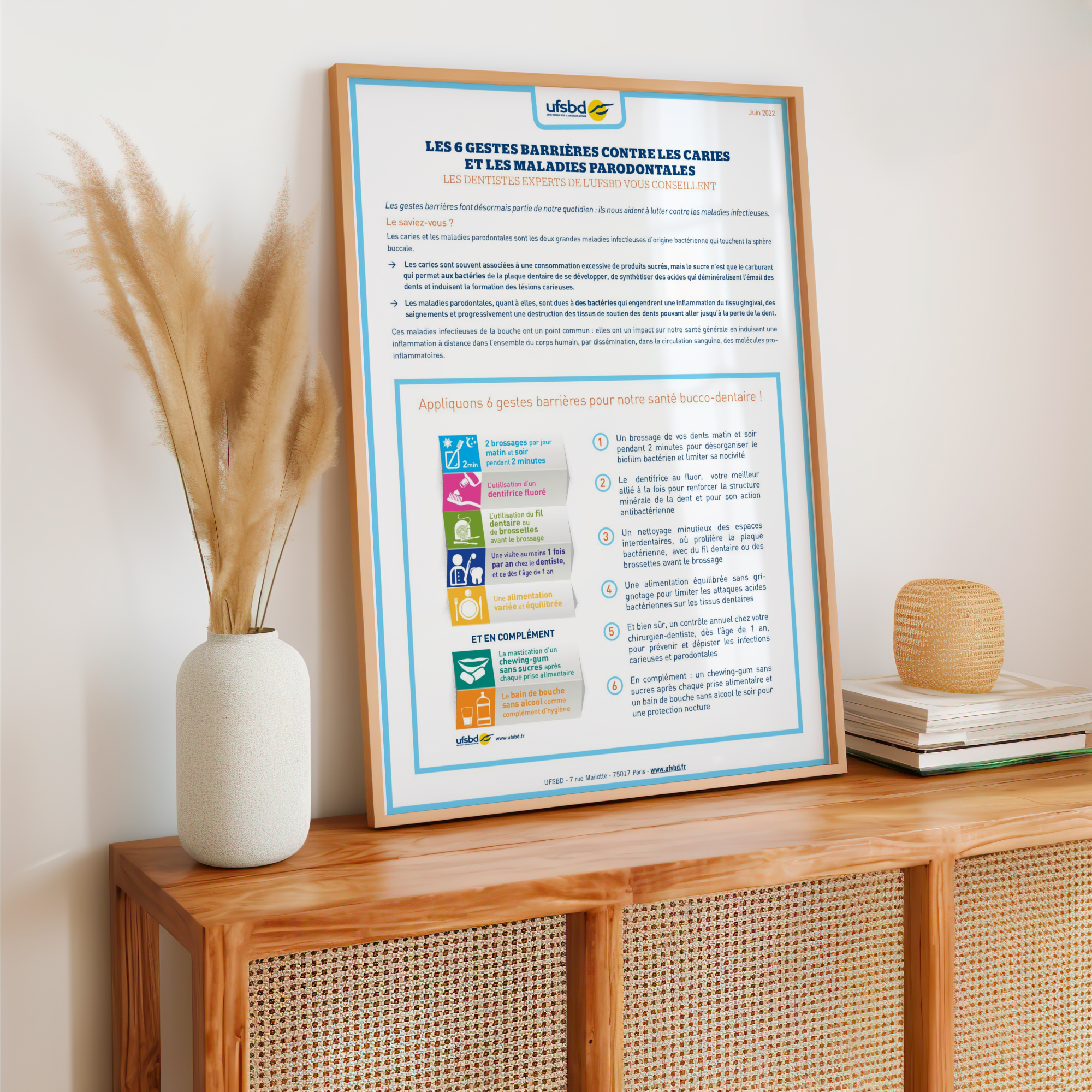 decoration dentaire fiche conseil planches anatomiques